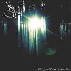 Ny : The First Beauty (Lustre Cover)